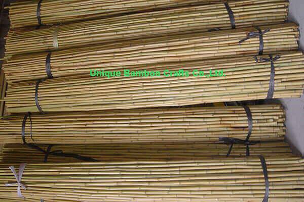bamboo canes 3 bamboo canes 3
